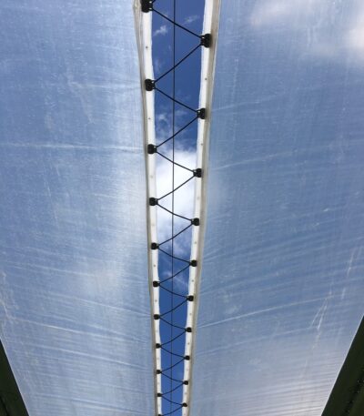 bungee nicolaioverkapping