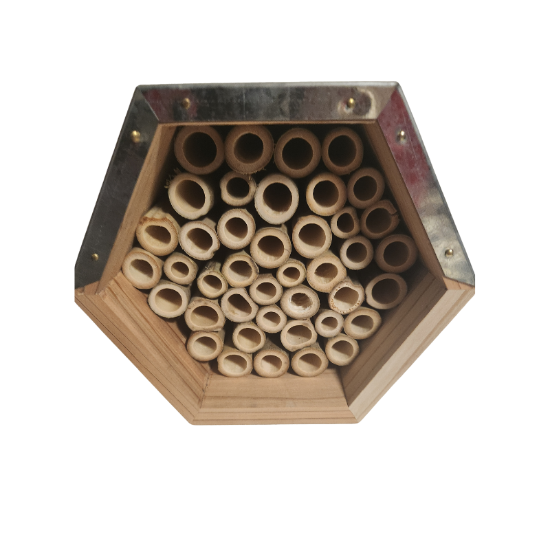 bijen hotel bee bijen hotel bee