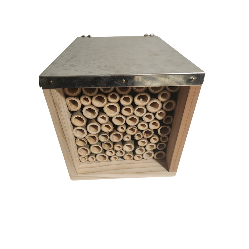 bijenhotel klein bijenhotel klein